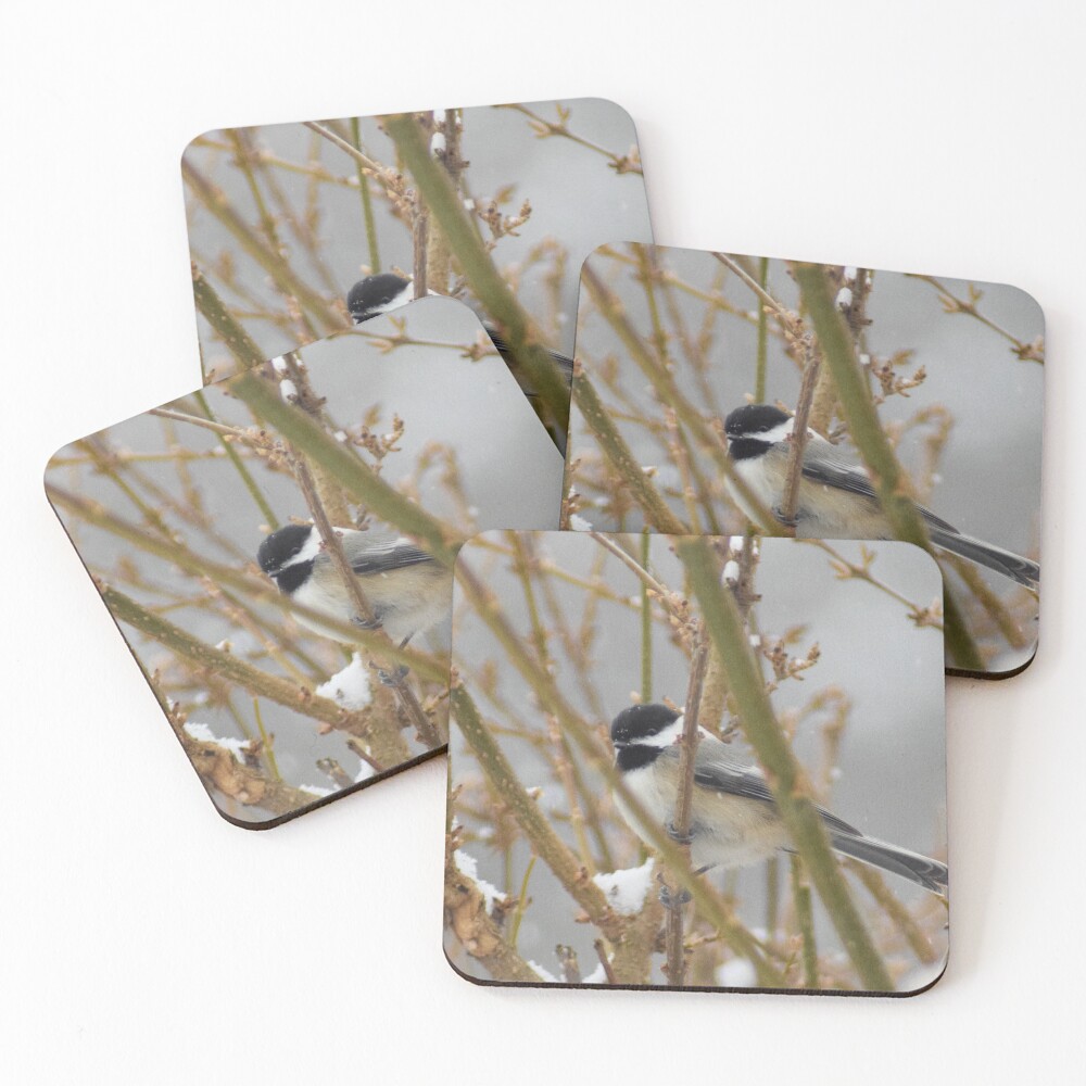 Item preview, Coasters (Set of 4) designed and sold by RPoli3.