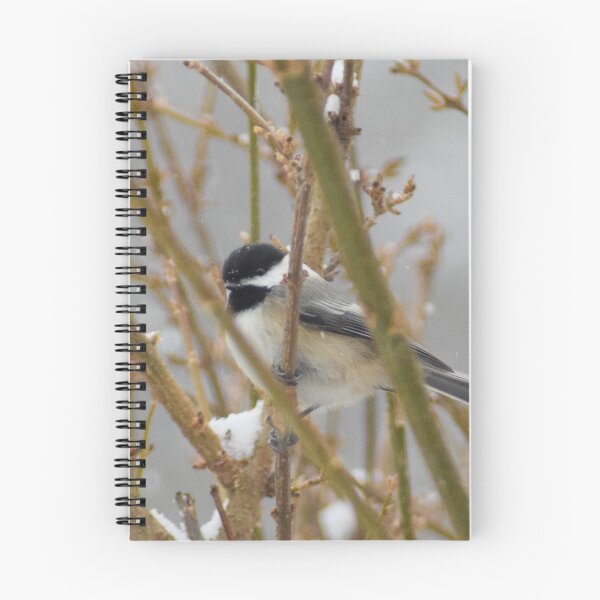 Item preview, Black-capped Chickadee designed and sold by RPoli3.