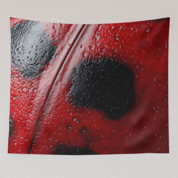 Item preview, Macro Close-Up of Ladybug Shell designed and sold by MonxArt.