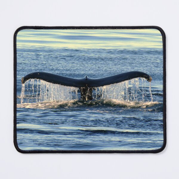 Item preview, Majesty of the Deep – Whale Fin at Sunset designed and sold by Eric Nagel.
