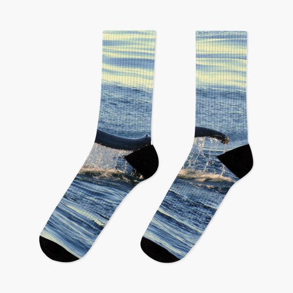 Item preview, Majesty of the Deep – Whale Fin at Sunset designed and sold by Eric Nagel.