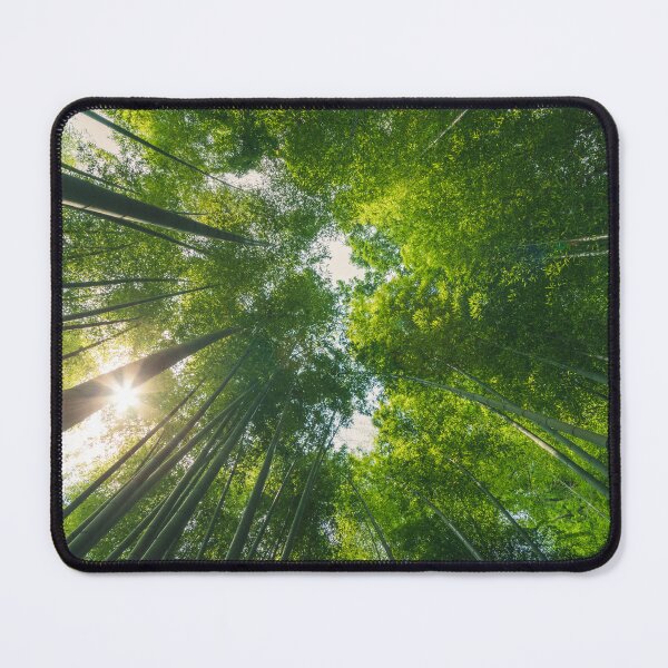 Item preview, Bamboo Grove in Kamakura, Japan designed and sold by Jordan McChesney.