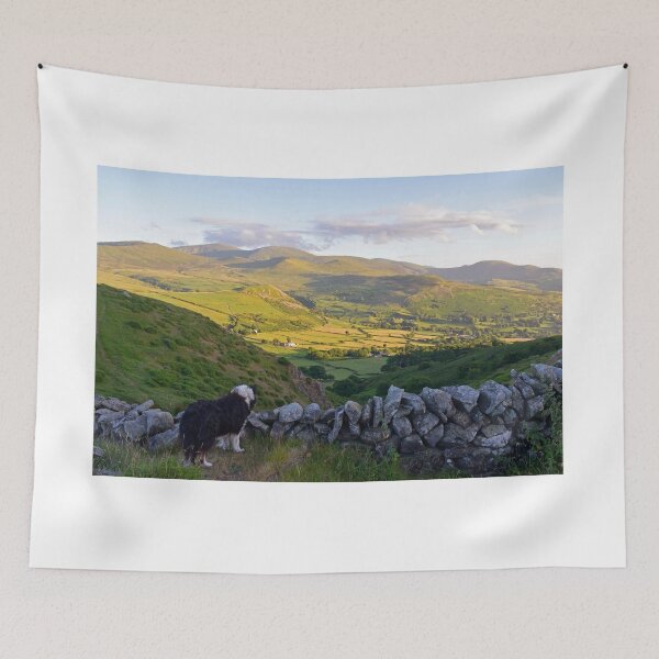 Item preview, Laddie Come Home. designed and sold by Michael Haslam.