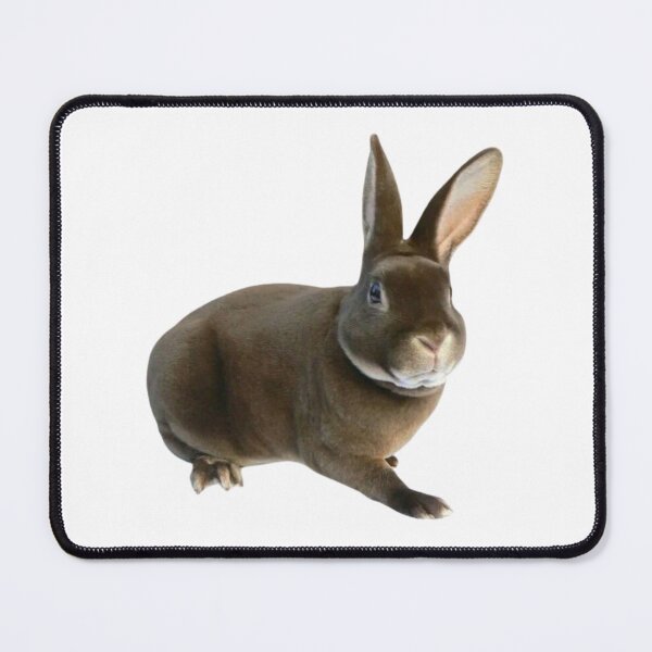 Item preview, Sitting rabbit designed and sold by di-Vera-Rosati.