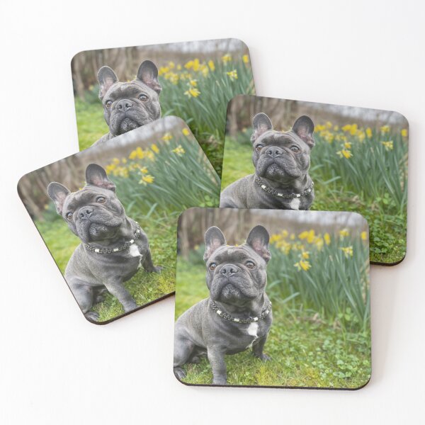 Item preview, Spring Edition designed and sold by Joshi the Frenchie Dog – dein Frenchie mit Charakter. .