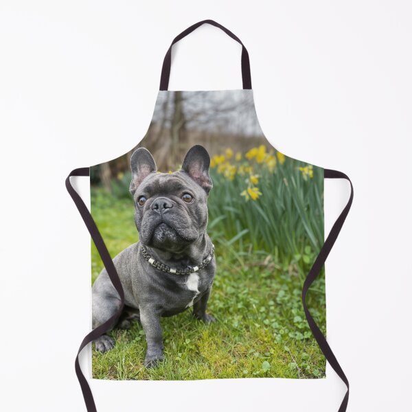 Item preview, Spring Edition designed and sold by Joshi the Frenchie Dog – dein Frenchie mit Charakter. .