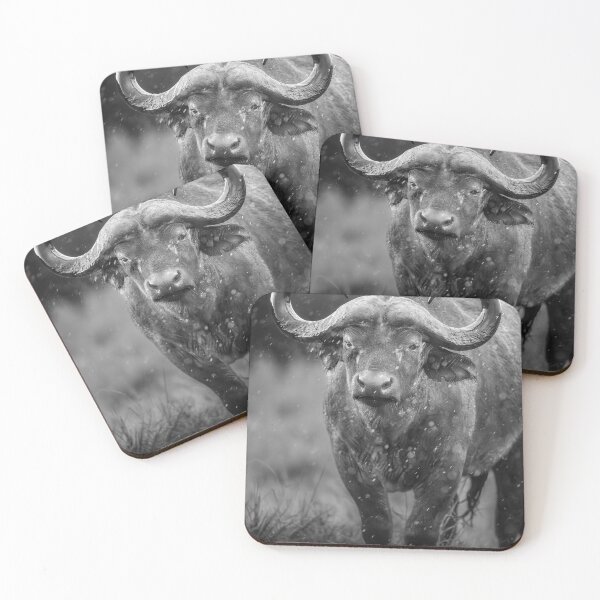 Item preview, Cape Buffalo Masai Mara Kenya BW 2 designed and sold by PhotoArt by Joan Carroll.
