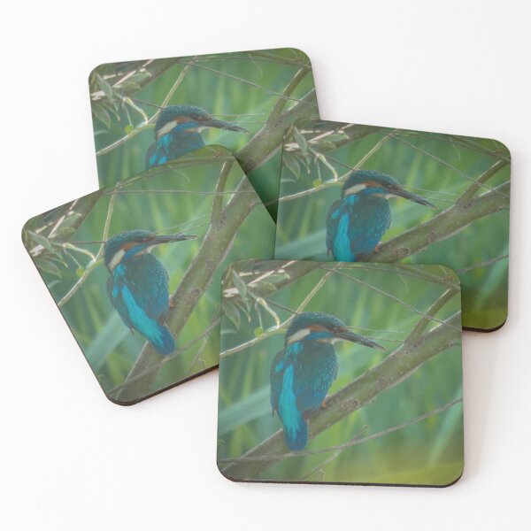 Item preview, Common Kingfisher on a Branch - Vibrant Nature Bird Photography designed and sold by tothkataphoto.