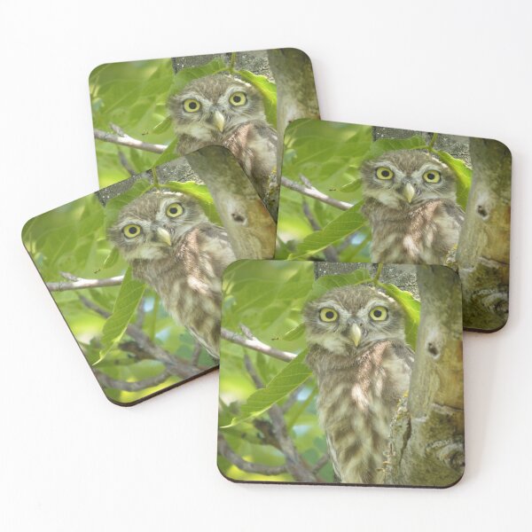 Item preview, Curious Little Owl in Summer Leaves designed and sold by tothkataphoto.