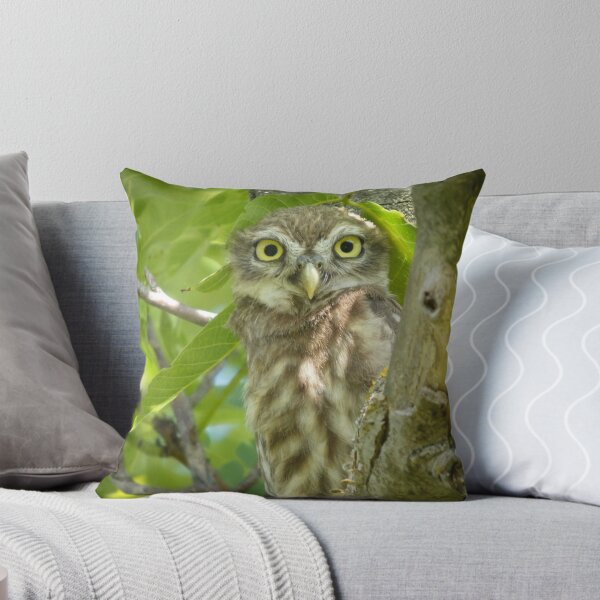 Item preview, Curious Little Owl in Summer Leaves designed and sold by tothkataphoto.