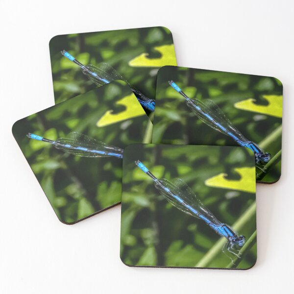 Item preview, Electric blue dragonfly  designed and sold by firstlightdawn.