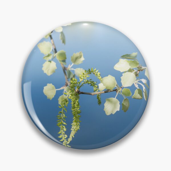 Item preview, Spring Arriving Softly with a Poplar Branch Overwater designed and sold by Georgia Mizuleva.