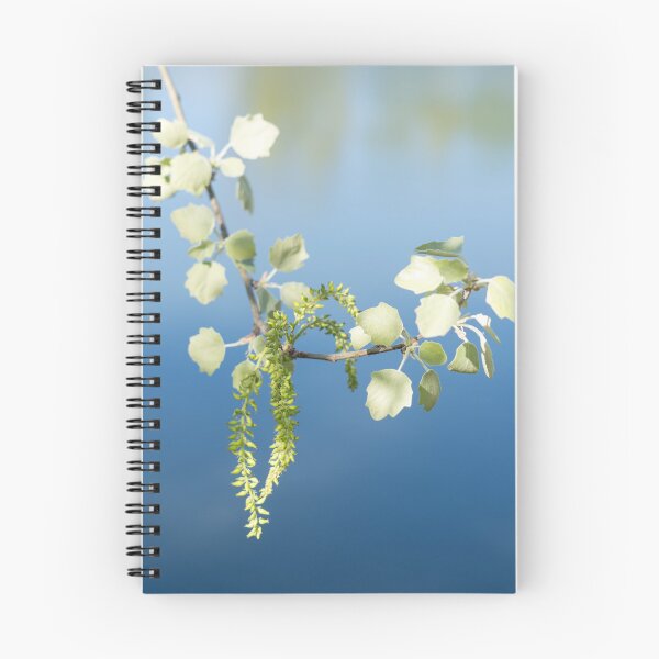 Item preview, Spring Arriving Softly with a Poplar Branch Overwater designed and sold by Georgia Mizuleva.