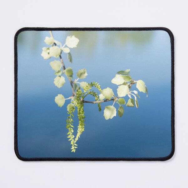 Item preview, Spring Arriving Softly with a Poplar Branch Overwater designed and sold by Georgia Mizuleva.