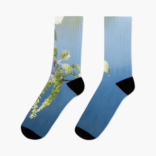 Item preview, Spring Arriving Softly with a Poplar Branch Overwater designed and sold by Georgia Mizuleva.