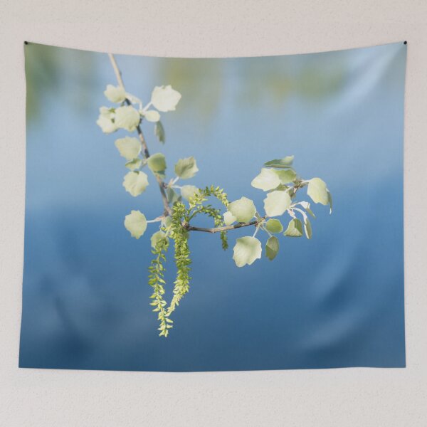 Item preview, Spring Arriving Softly with a Poplar Branch Overwater designed and sold by Georgia Mizuleva.