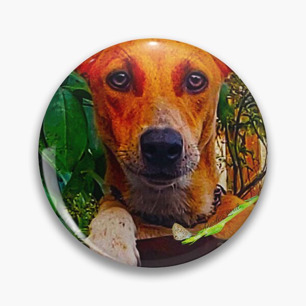 Artikelvorschau, NS Dog's Attention RZ 4/19 entworfen und verkauft von Unlimited Imagination .