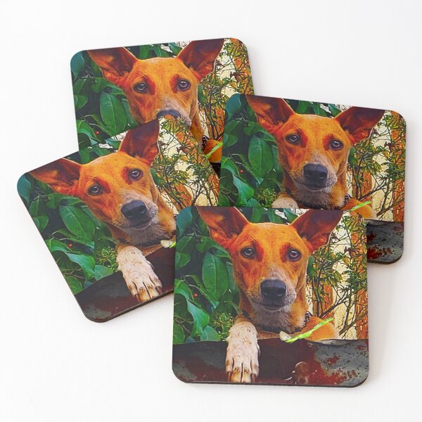 Artikelvorschau, NS Dog's Attention RZ 4/19 entworfen und verkauft von Unlimited Imagination .