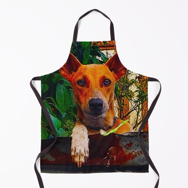 Artikelvorschau, NS Dog's Attention RZ 4/19 entworfen und verkauft von Unlimited Imagination .