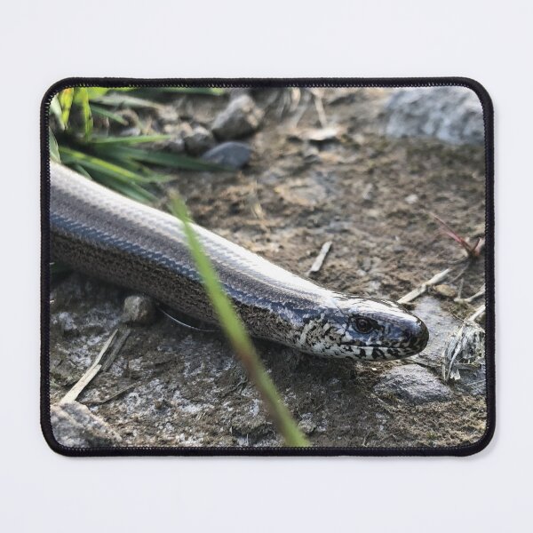 Item preview, slowworm designed and sold by boulderdasher.