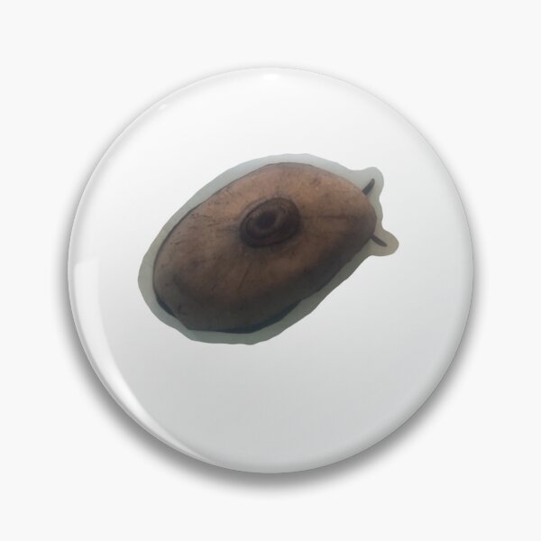 Item preview, Giant keyhole limpet designed and sold by erturk.jpeg.