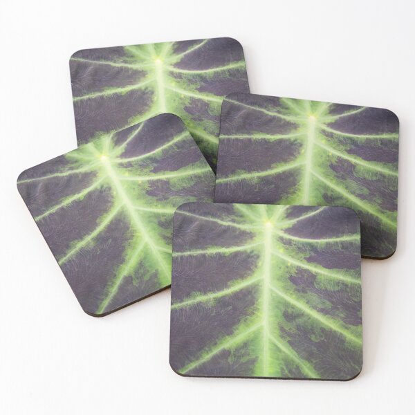 Item preview, Green botanical leaf - tropical pattern in nature - summer travel photography designed and sold by Christa Stroo Photography.