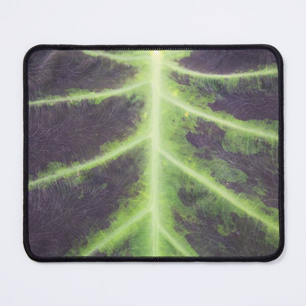 Item preview, Green botanical leaf - tropical pattern in nature - summer travel photography designed and sold by Christa Stroo Photography.