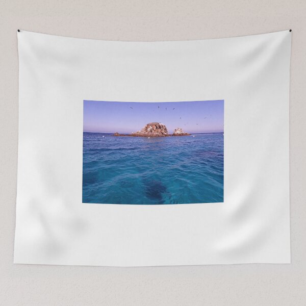 Item preview, Endemic rock emerald bay Catalina island designed and sold by erturk.jpeg.