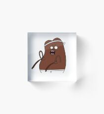 Coffee Bean Acrylic Block