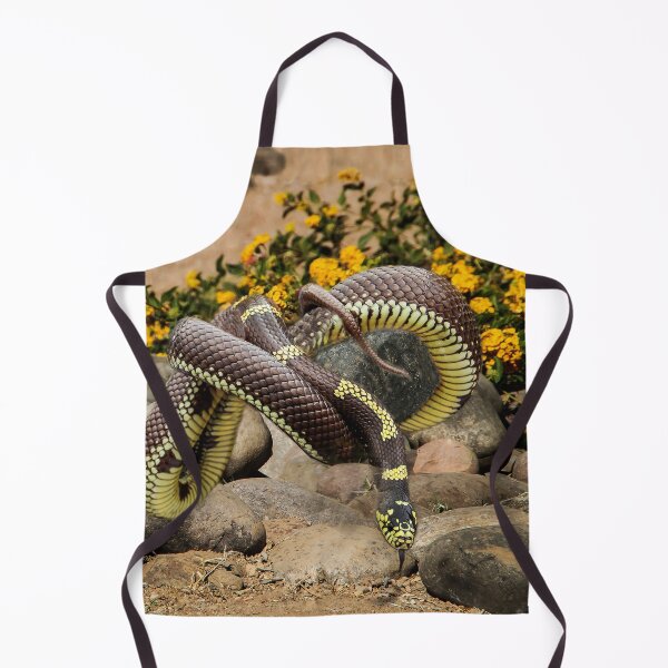 Item preview, Gartersnake On the Rocks designed and sold by heatherfriedman.