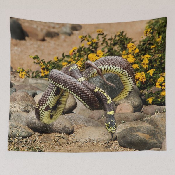 Item preview, Gartersnake On the Rocks designed and sold by heatherfriedman.
