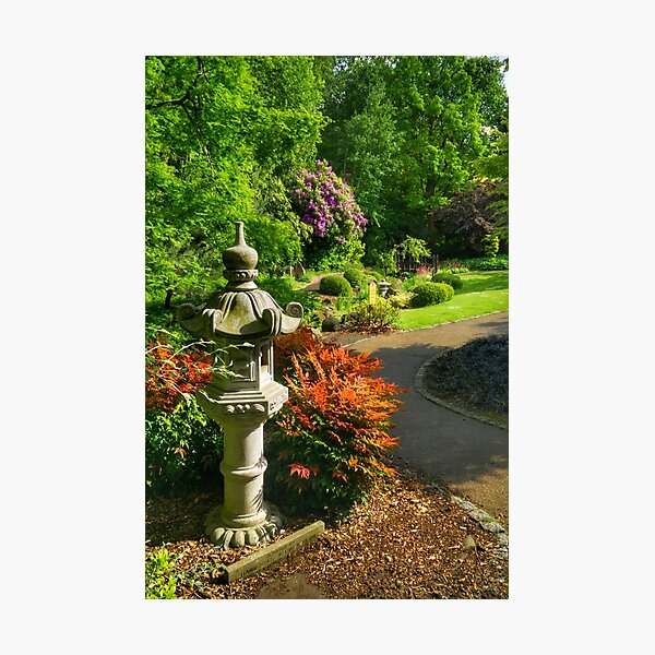 Item preview, Garden of Serenity Harrogate designed and sold by Alisonchambers2.