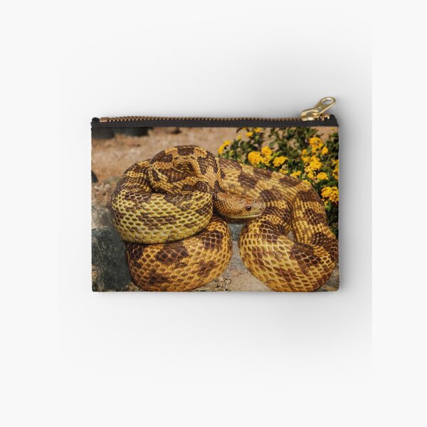 Item preview, Eastern Rat Snake on the Rocks  designed and sold by heatherfriedman.