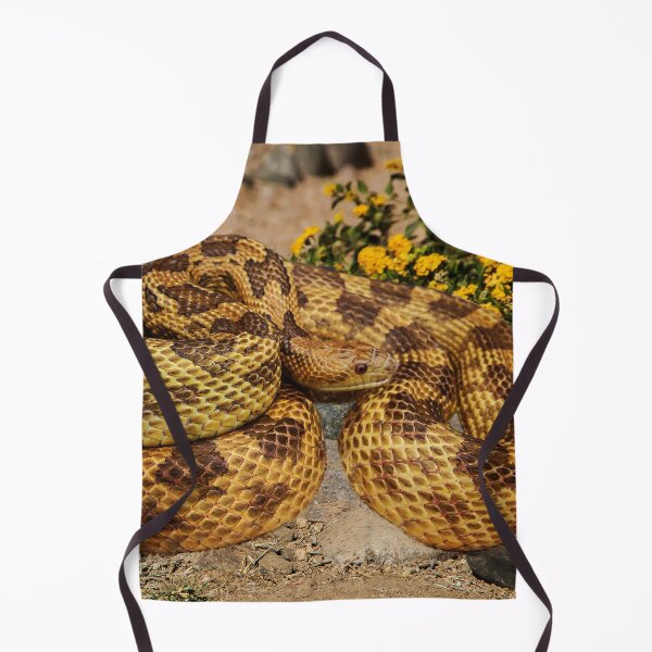 Item preview, Eastern Rat Snake on the Rocks designed and sold by heatherfriedman.