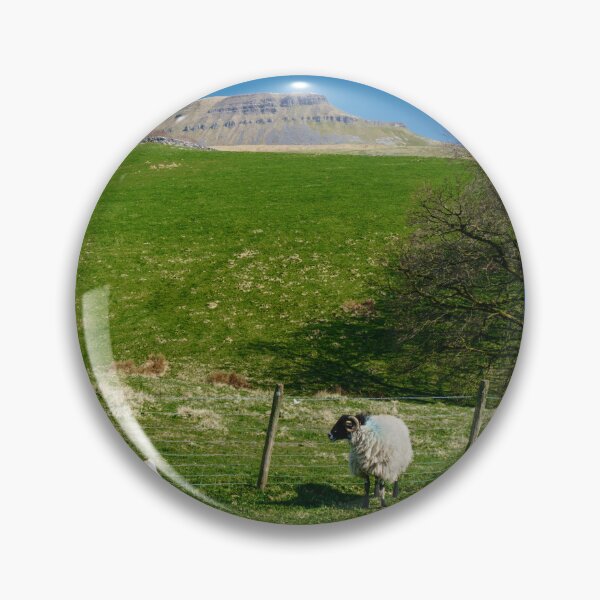 Item preview, Pen y Ghent Spring Lambs designed and sold by Alisonchambers2.