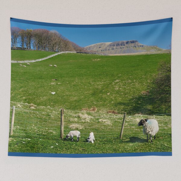 Item preview, Pen y Ghent Spring Lambs designed and sold by Alisonchambers2.