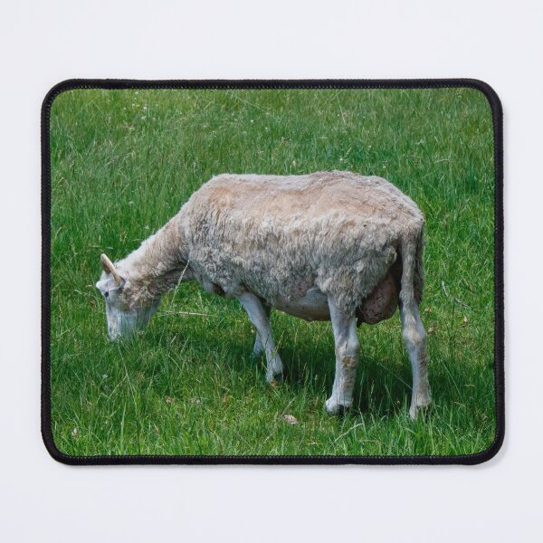 Item preview, Wooly designed and sold by Tim Dusenberry.