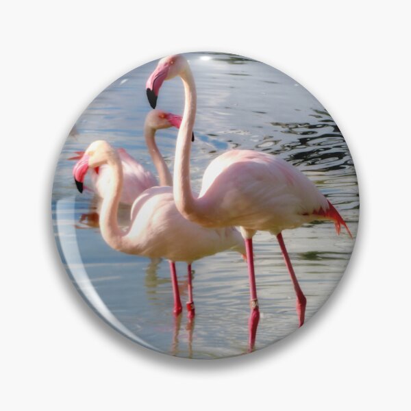 Aperçu de l'œuvre Flamants roses dans l'eau créée et vendue par ShutterbugBttns.