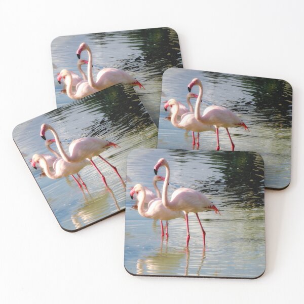 Item preview, Flamingos In The Water designed and sold by ShutterbugBttns.