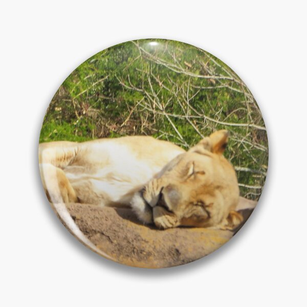 Item preview, Sleeping Lions designed and sold by ShutterbugBttns.