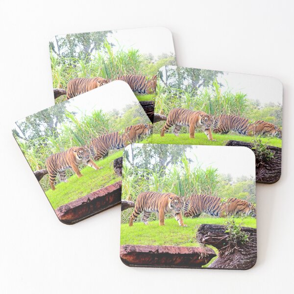 Item preview, Tigers designed and sold by ShutterbugBttns.