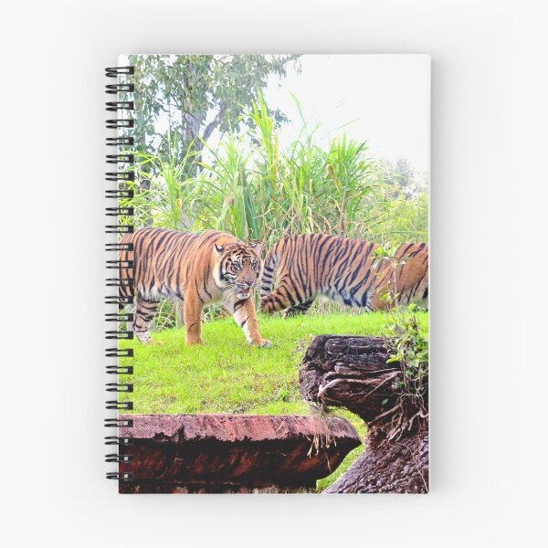 Item preview, Tigers designed and sold by ShutterbugBttns.