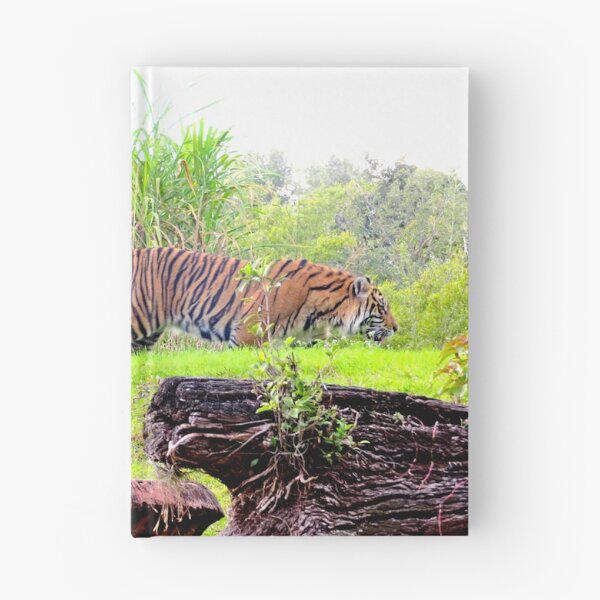 Aperçu de l'œuvre Tigres créée et vendue par ShutterbugBttns.