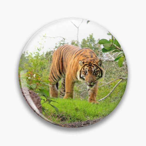 Item preview, Tigres designed and sold by ShutterbugBttns.