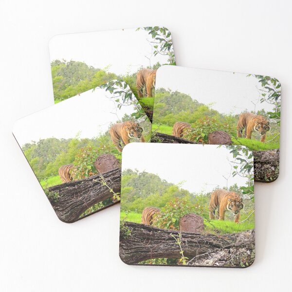 Item preview, Tigers designed and sold by ShutterbugBttns.