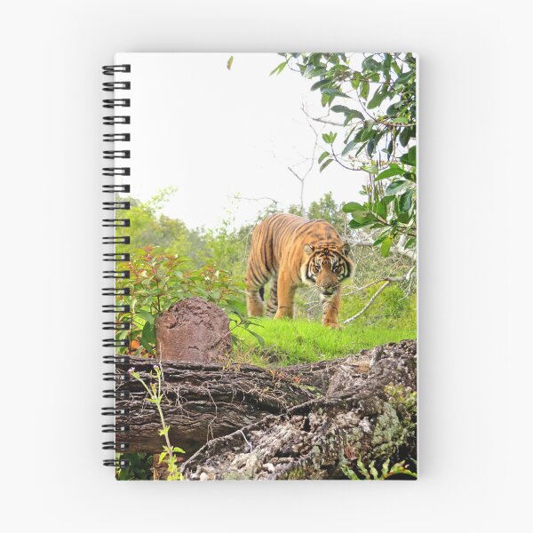 Item preview, Tigers designed and sold by ShutterbugBttns.