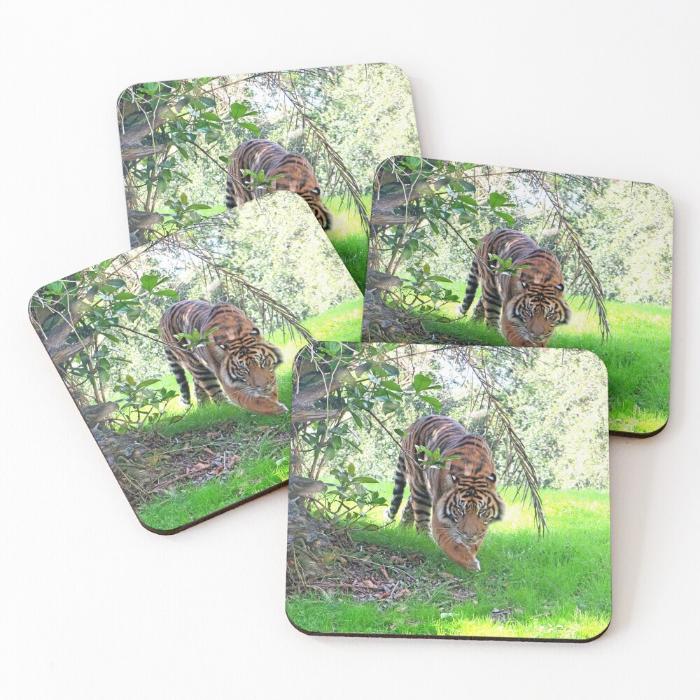 Item preview, Coasters (Set of 4) designed and sold by ShutterbugBttns.