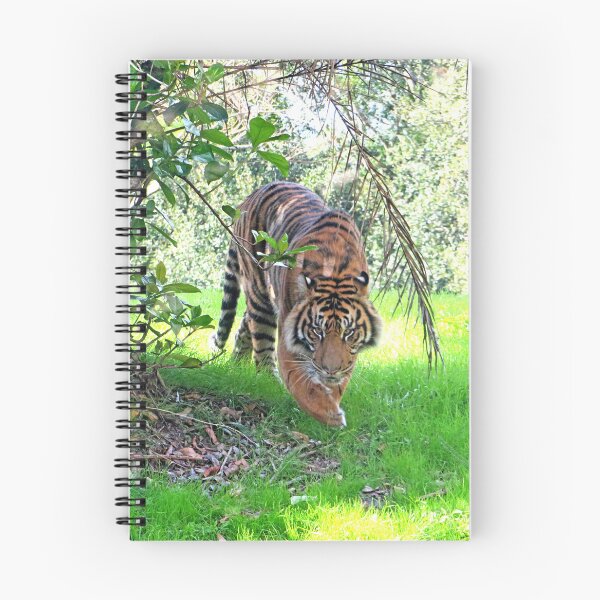 Item preview, Tiger designed and sold by ShutterbugBttns.