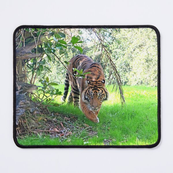 Item preview, Tiger designed and sold by ShutterbugBttns.