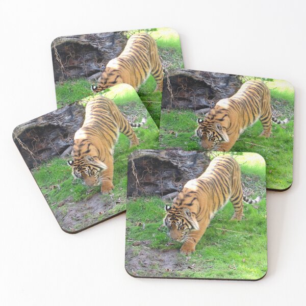 Item preview, Tiger designed and sold by ShutterbugBttns.